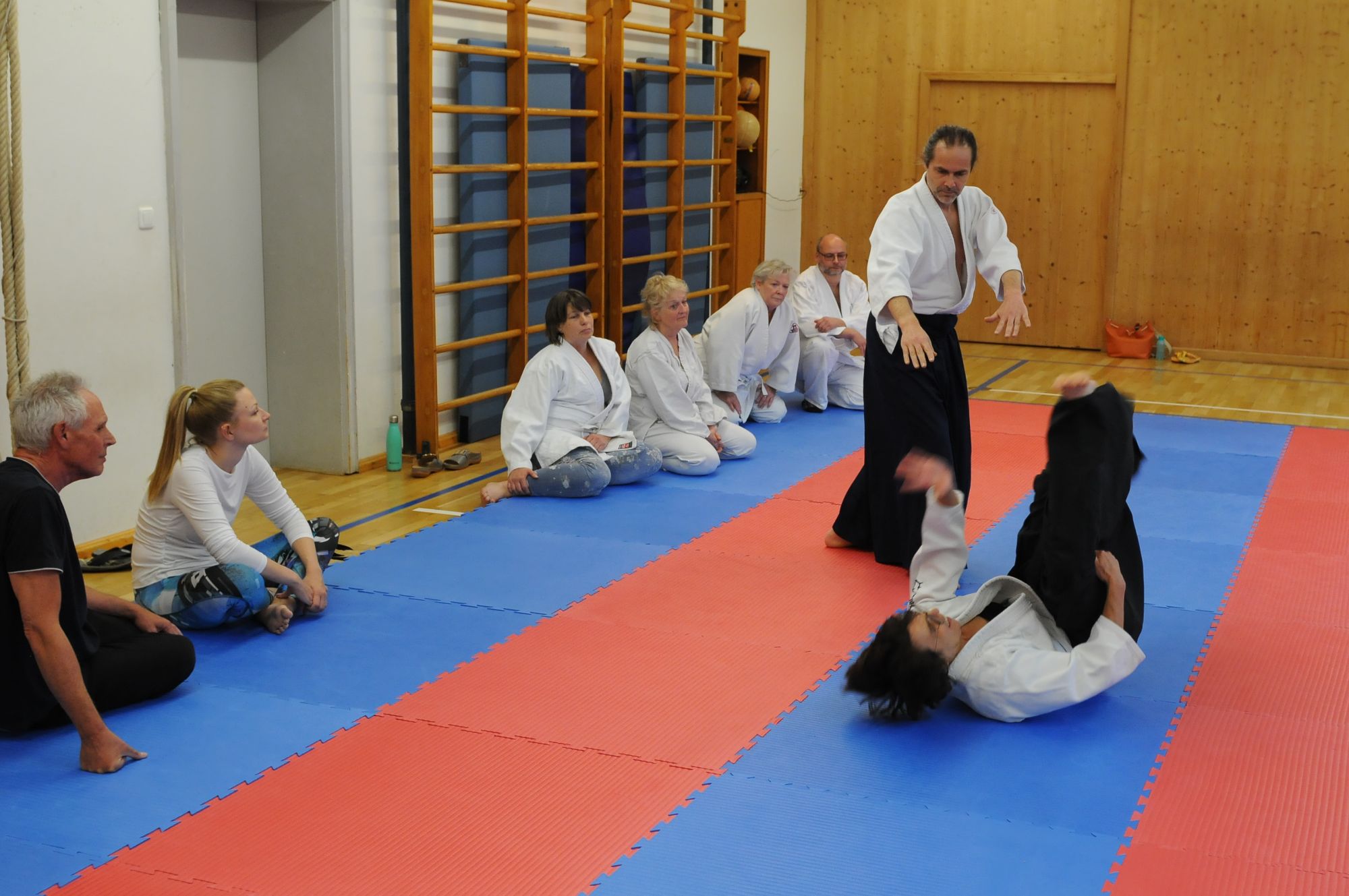 Aikidogruppe des SVO Germaringen und Gäste aus Ostallgäu und Kaufbeuren: Thorsten Schöler zeigt die Aikidotechnik Iriminage